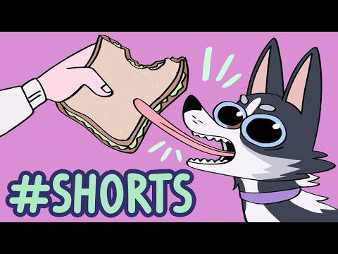 My dog is odd. (shorts version)