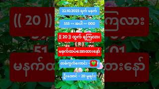 Beautiful Rose Flowers 🌹🌱 #flowers #beautiful #garden #shorts #live #2d #2dlive #3d #3dlive #2d3d