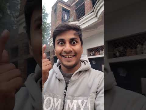 Dance 🕺 (vlog 6) #minivlog #shorts #shortfeed #trending