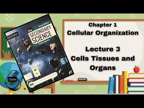 Class 6 Science Chapter 1 | Cells, Tissues & Organs Explained Like Never Before! 🔥