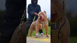 #animals #transformation #growingup #viralshort #100millon #dog #dear #1m