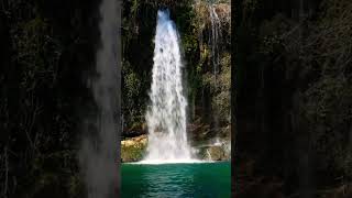 Waterfall River Forest #waterfallbeauty #riverview #naturelovers #naturevibes