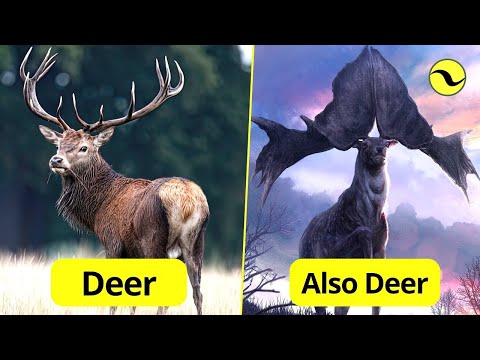Modern Animals That Used To Be Giants | Part 2