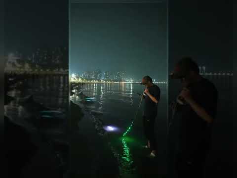 voice control light iDeal  music sncy string lights