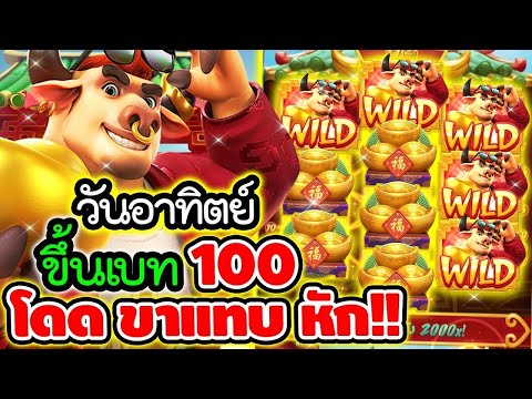Fortune OX | สล็อตpg  สล็อตวัวทอง ► วันอาทิตย์ ขึ้นเบท100 โดดขาแทบหัก!!🤩🤩