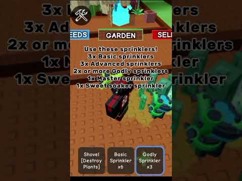 How to grow big Moon Melons!