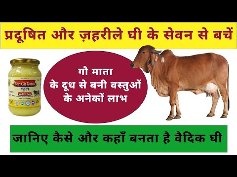 दुनिया का सबसे महंगा वैदिक देसी घी। #cow #gircow