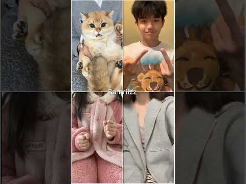 Bing Bang Boom 💥 #douyin #trend #korean #cute #cat #boy #asmr