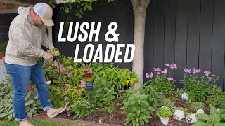 Planting Coleus For BIG Impact + A Huge Colorful Container