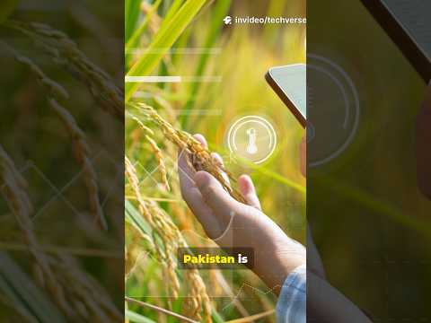 AI in Pakistan Farming 🌾 | How Artificial Intelligence Helps Farmers 🚀#PakistanAI #farming #shorts