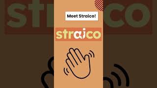 How To Get Access To 8 AI Language Models From One Tool? [Straico]