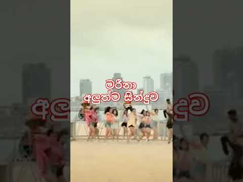 මරීනා | Marina | New sinhala song by Sarith and Surith 😍😍😍 #marina #sarithandsurith #new