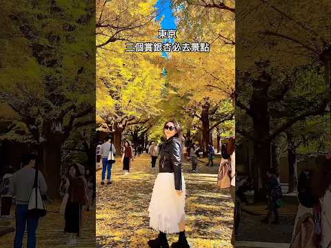 東京三個賞銀杏必去景點 #日本 #東京 #東京景點 #東京大学  #明治神宮外苑