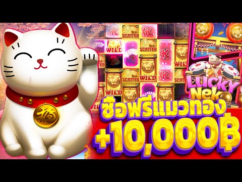 LUCKY NEKO | สล็อตPG เกม เนโกะนำโชค ซื้อฟรีแมวทอง แตกโหด 10,xxx บาท!!
