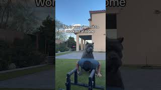 Dogs will use their own methods to make you compromise #funny #dog #shorts
