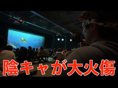 【vlog】ディズニーで大恥かいたFラン大学生の１日