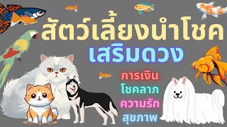 เสริมดวงด้วยสัตว์เลี้ยง เสริมการเงิน โชคลาภ ความรัก สุขภาพ#ดูดวง  #ดวงการเงิน #ดวงความรัก #เสริมดวง