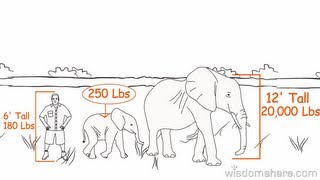 An Elephants Memory -- WisdomShare.com