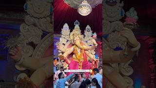 chintamaniganpati ❤️❤️🌺🌺🙏#mumbaiganpatibappa #ganpatibappa #chintamaniganpati #shortvideo