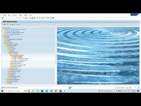 SAP SCREEN OVERVIEW II SAP BASIC Introduction II SAP FICO Class 3