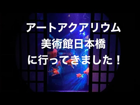 【アートアクアリウム美術館】日本橋に行ってきました！
