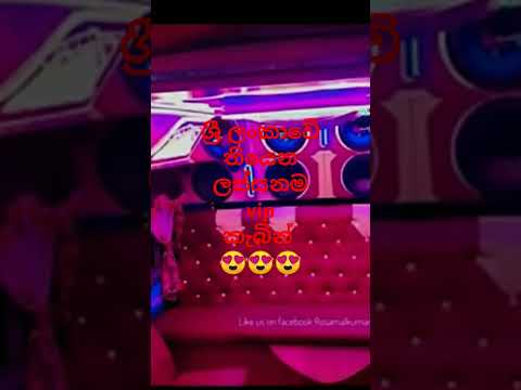 vipකැබින්