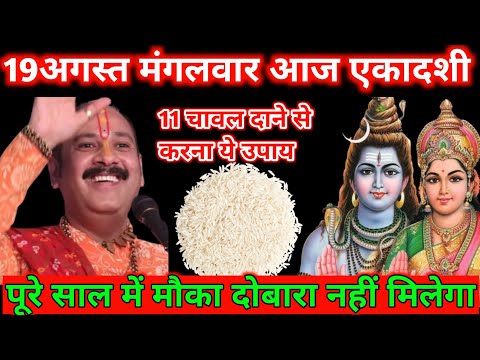 19 अगस्त मंगलवार दशमी – 11 चावल दानों का चमत्कारी उपाय जरूर करें 🌾✨