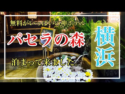 無料がいっぱいの神ホテル、【パセラの森】に泊まって来ました！アルコール飲み放題、おつまみ食べ放題！