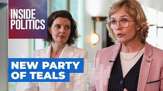 High risk or the right time? Zali Steggall on the new teal party