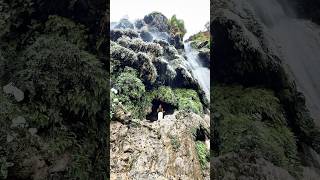 😍🏃🏾‍➡️ #inrishikesh #travel #waterfall #yoga #trending #water #mountains #rishikesh #love