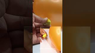 Lemon Balloon Experiment- Have you see the droplets?  #experiment #scienceexperiment