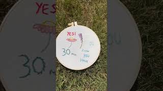 30 minutes….. #meme #Embroidery #shorts #EmbroideryArt #30minutes #stitch #funproject