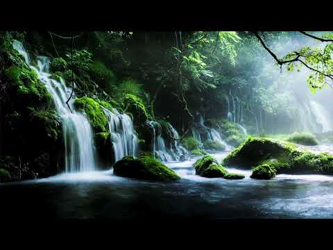 1 Hour Amazon Ambiance I Waterfall, Birds, Forest Sounds for Relaxing, Studying, Stress Relieving