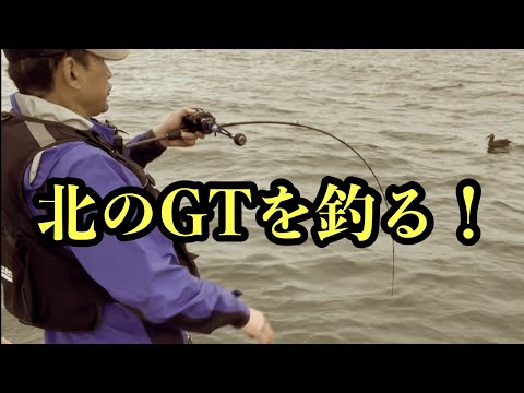 【ジギング】【水中映像あり】十勝沖、巨大GTを狙え！ 美味しい美味しいおまけ付き