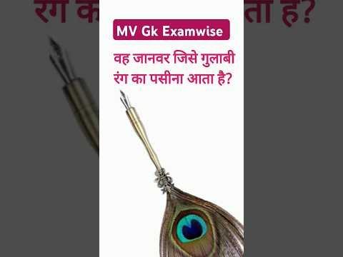 वह जानवर जिसे गुलाबी रंग का पसीना आता है 🤔🤔 #facts #viral #shorts #viralvideo #fun #funny