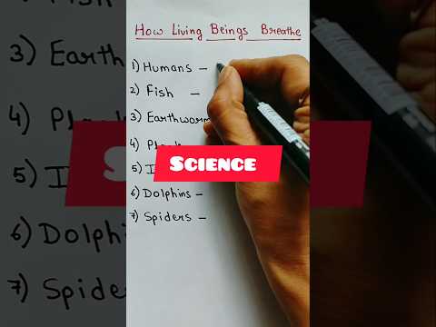 How Living Beings Breathe #science #evs #school #facts #shortvideo #shortsfeed #shorts #ytshorts