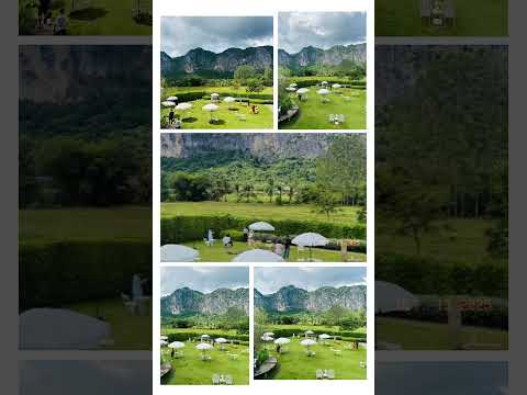 🎶⛰️🌻🍃