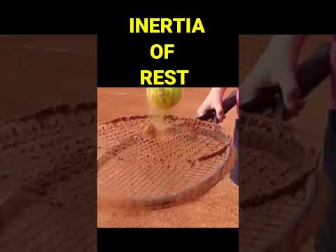 Illusion Of Inertia #physics #physicsmadeeasy #lawsofmotion #newtonlawsofmotion