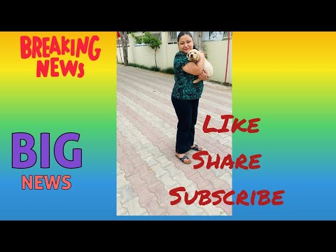 Day 8 How to MANIFEST ANYTHING in 24 HOURS,Letter to Universe Law of Attraction