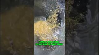 #traditional#goldmining from basalt red soil with extremely excellent results #goldrush #goldpanning