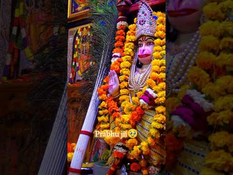 Most beautiful eyes in the word || Icchapurti balaji #hanuman #love #status #shorts