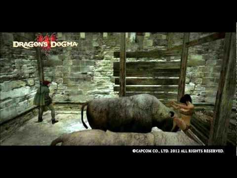 Dragons Dogma OST(14) The Mark of the Enlighted One Theme