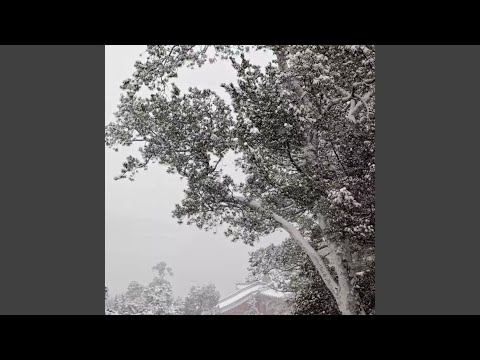 等老了以后 (完整版)
