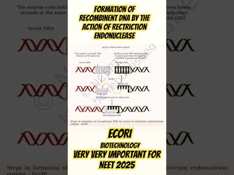 Most Most Important Diagrams of Biotechnology for neet 2025#neet#success#shorts#studyfacts#subscribe