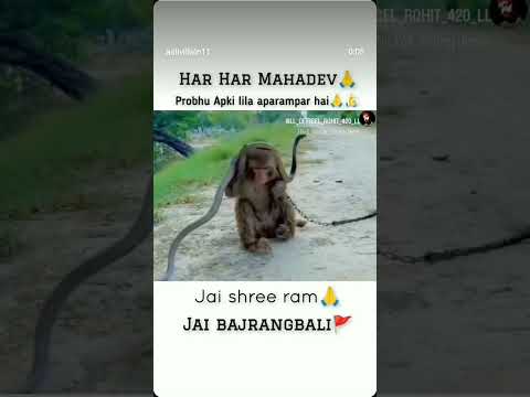 #always #youtubeshorts #bholenath_status #hanumanji #hanumanchalisa #harharmahadev #hanumanbhajan ❤👀