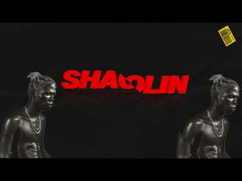 SEYI VIBEZ-SHAOLIN (SOSAWAVEGOD TRAP FLIP)
