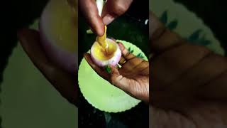 #experiment #kitchenhacksandtricks #usefulkitchenhacks #candle ||onion very useful kitchen trick👍
