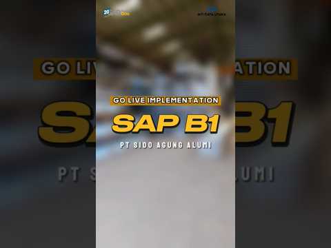 Kick off PT Sido Agung Alumi #sapb1