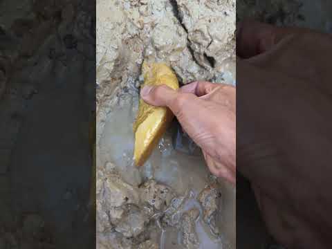 gold in the river in the forest #goldhunter #goldminer