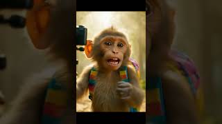 #MonkeyVlog#MonkeyDailyVlog#MonkeyLife#BandarKaVideo#MonkeyAdventure#ViralMonkeyVideo#